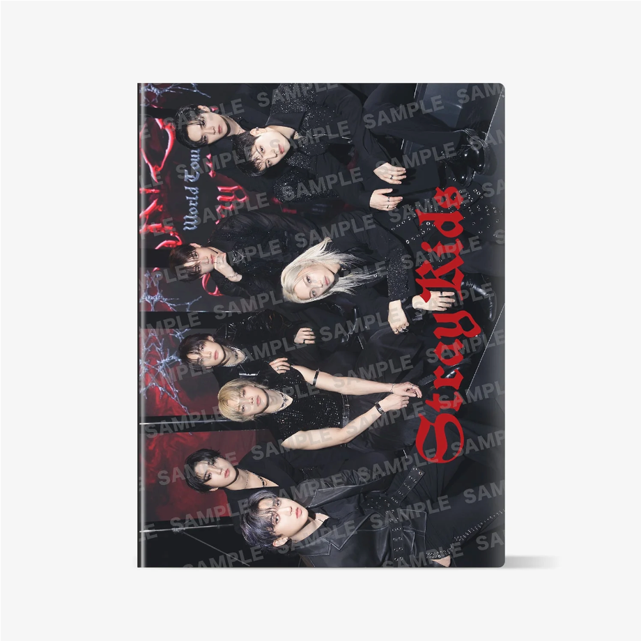 STRAY KIDS WORLD TOUR [DOMINATE JAPAN] OFFICIAL MD - 12. TRADING CARD CASE (PRE-ORDER)