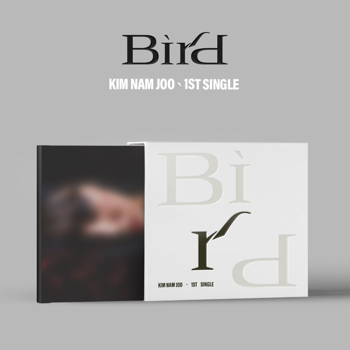 KIM NAM JOO 1ST SINGLE ALBUM - BIRD