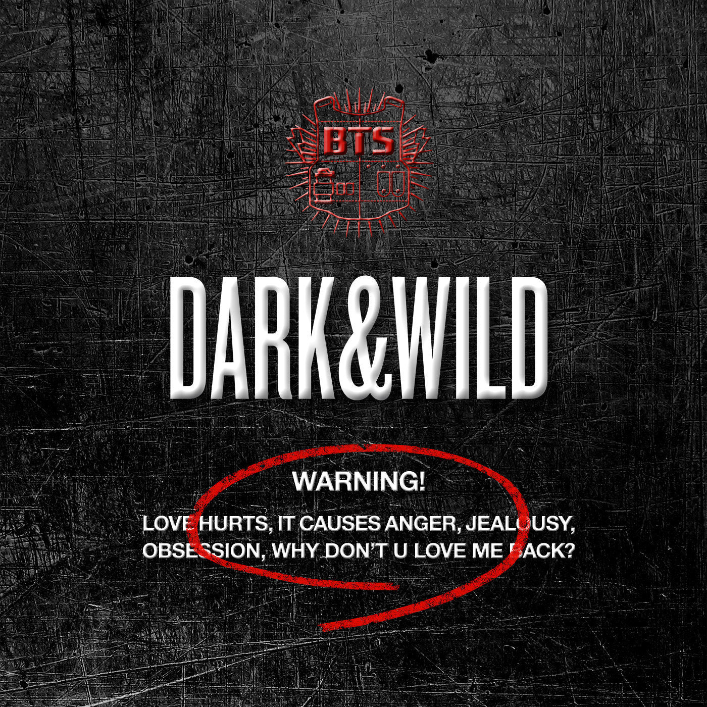 BTS 1ST FULL ALBUM - DARK & WILD