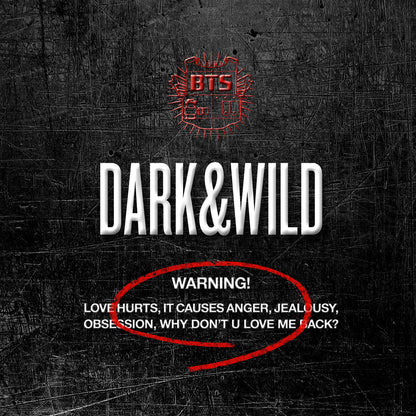 BTS 1ST FULL ALBUM - DARK & WILD